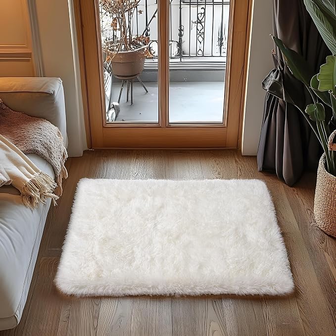 Small Area Rug, 2x3 Rug for Bedroom Shaggy Throw Rugs for Dorm Rug, Soft Shag - Image 2