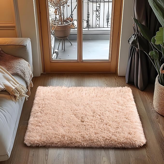 Small Area Rug, 2x3 Rug for Bedroom Shaggy Throw Rugs for Dorm Rug, Soft Shag - Image 2