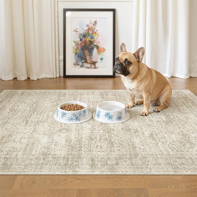 3x4 Rug, Small Area Rug for Kitchen, Machine Washable Non-Slip Throw Rug by Soalmost
