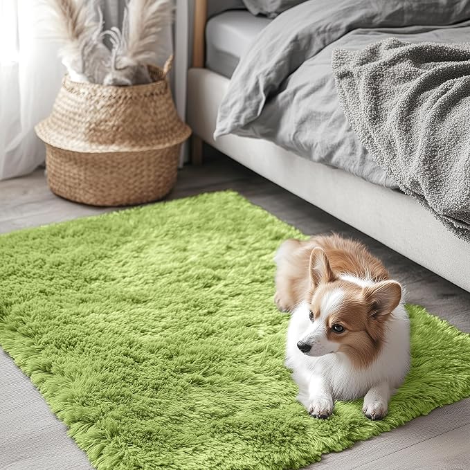 OLANLY 2x3 Machine Washable Small Bedside Rug, Soft Fluffy Shaggy Entryway by OLANLY