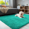 OLANLY 3x5 Machine Washable Small Bedside Rug, Soft Fluffy Shaggy Rugs by OLANLY