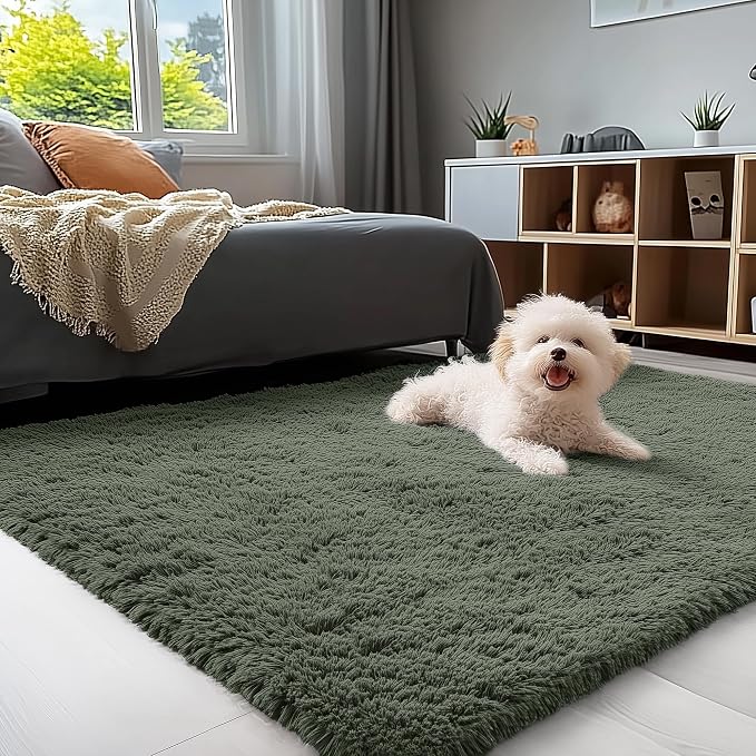 OLANLY 3x5 Machine Washable Small Bedside Rug, Soft Fluffy Shaggy Rugs by OLANLY