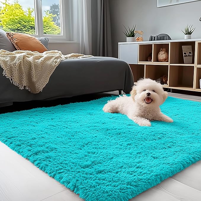 OLANLY 3x5 Machine Washable Small Bedside Rug, Soft Fluffy Shaggy Rugs by OLANLY