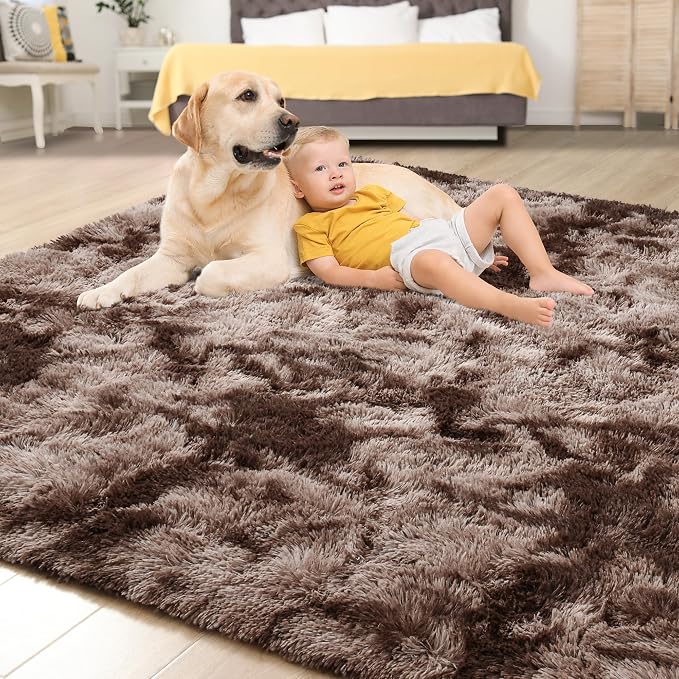 Tepook Soft Fluffy Rugs for Bedroom, 4x6 Area Rug for Living Room, Modern - Image 4