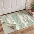 BEIMO Reversible 2x3 Rugs for Entryway Kitchen Bathroom, Modern Abstract by BEIMO