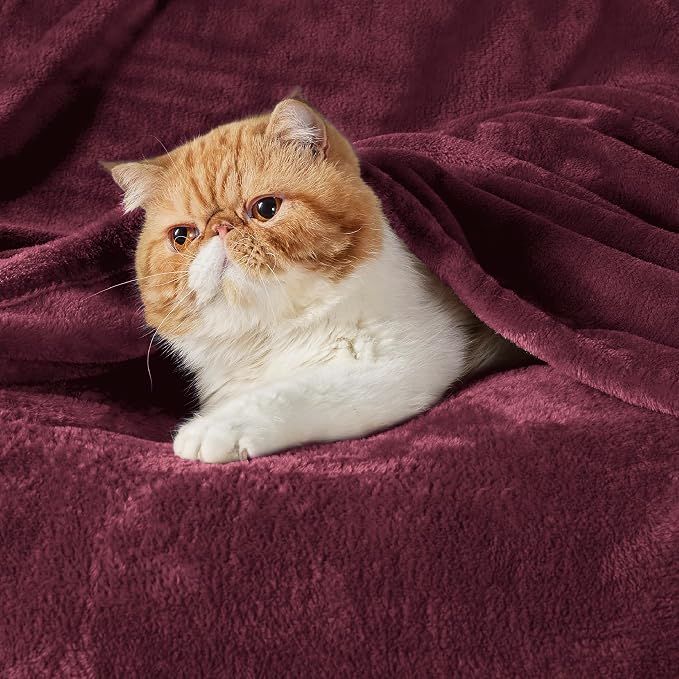 Bedsure GentleSoft Burgundy Red Fleece Blanket King Size - Image 2