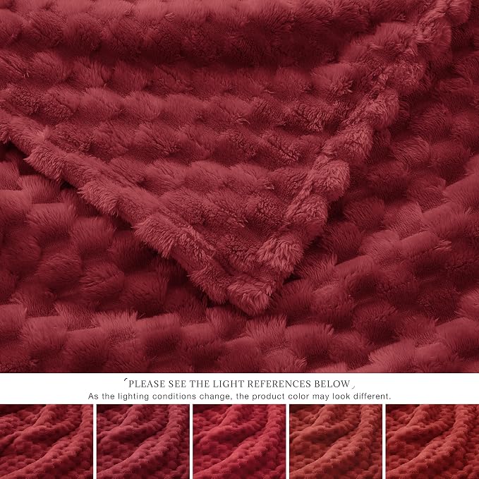 EXQ Home Fleece Blanket Twin Size - Image 4