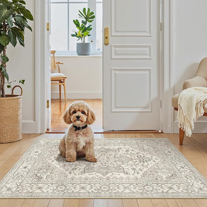 Madane Washable Area Rug 2x3, Small Entryway Rug Non-Slip Vintage Door Mat by Madane