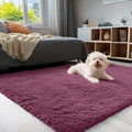 OLANLY 3x5 Machine Washable Small Bedside Rug, Soft Fluffy Shaggy Rugs by OLANLY