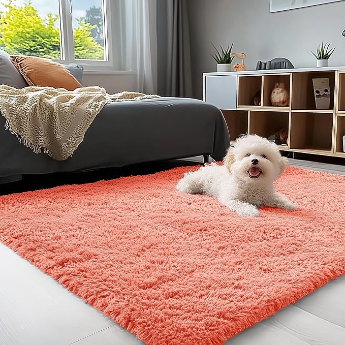 OLANLY 3x5 Machine Washable Small Bedside Rug, Soft Fluffy Shaggy Rugs by OLANLY