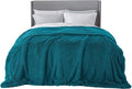 Bedsure GentleSoft Fluffy Turquoise Teal King Size Blanket by BEDSURE