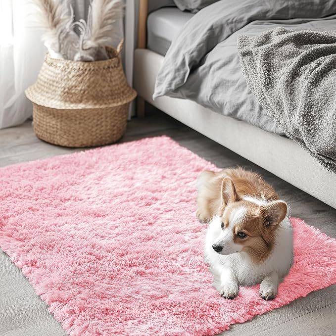 OLANLY 2x3 Machine Washable Small Bedside Rug, Soft Fluffy Shaggy Entryway by OLANLY