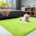 OLANLY 3x5 Machine Washable Small Bedside Rug, Soft Fluffy Shaggy Rugs by OLANLY
