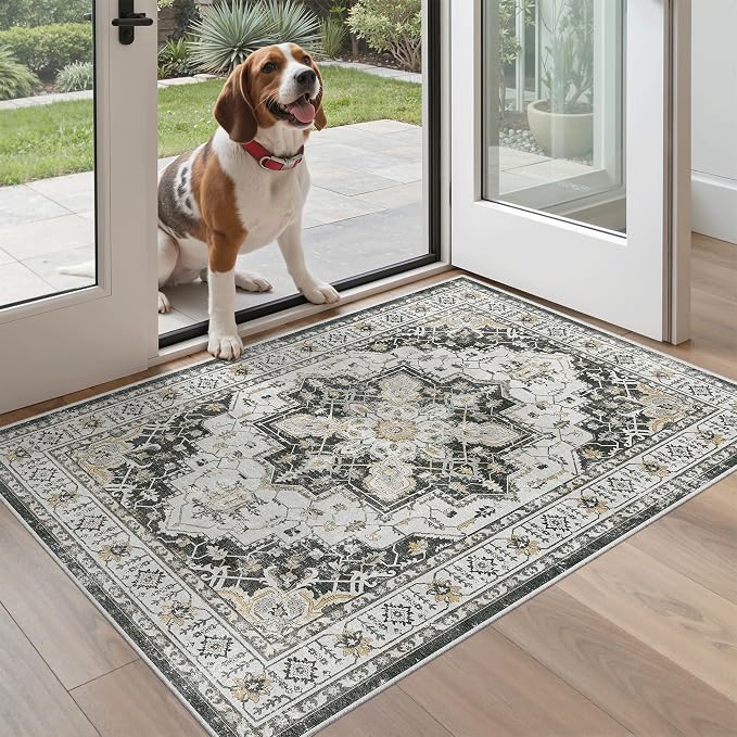 Madane Washable Entry Rug 3x4, Area Rugs - Image 2