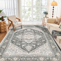 OPPODREAM Soft Area Rugs 3x5, Washable Rugs by OPPODREAM