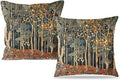 Rustic Autumn Forest Pillow Covers 18x18 Set of 2, Fall Home Room Decor by Unknown
