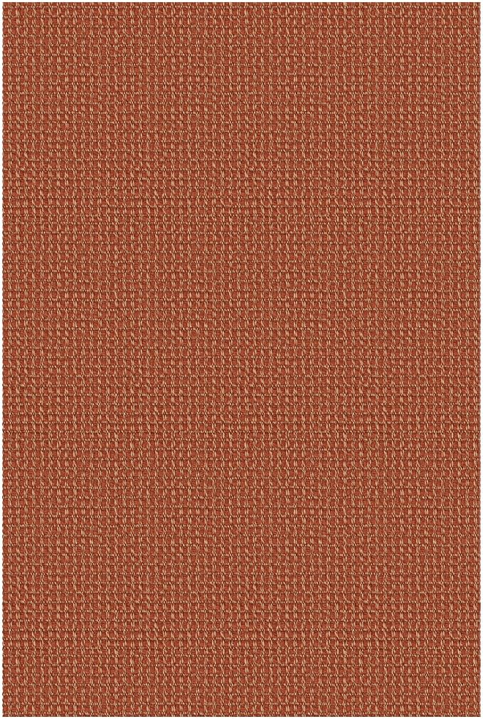 KOZYFLY Indoor Door Mat 2x3 ft Small Area Rugs Washable Front Door Mat Non Slip - Image 9