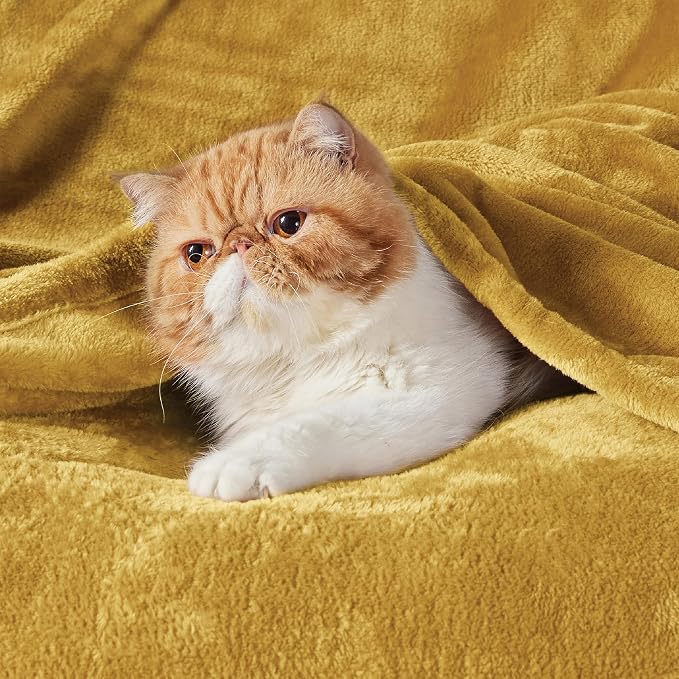 Bedsure Fleece Blanket Queen Blanket Gold Yellow - Image 5