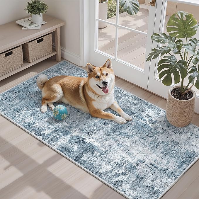 Soalmost 2x4 Washable Rugs for Kitchen, Powder Room Small Area Rug Non-Slip by Soalmost