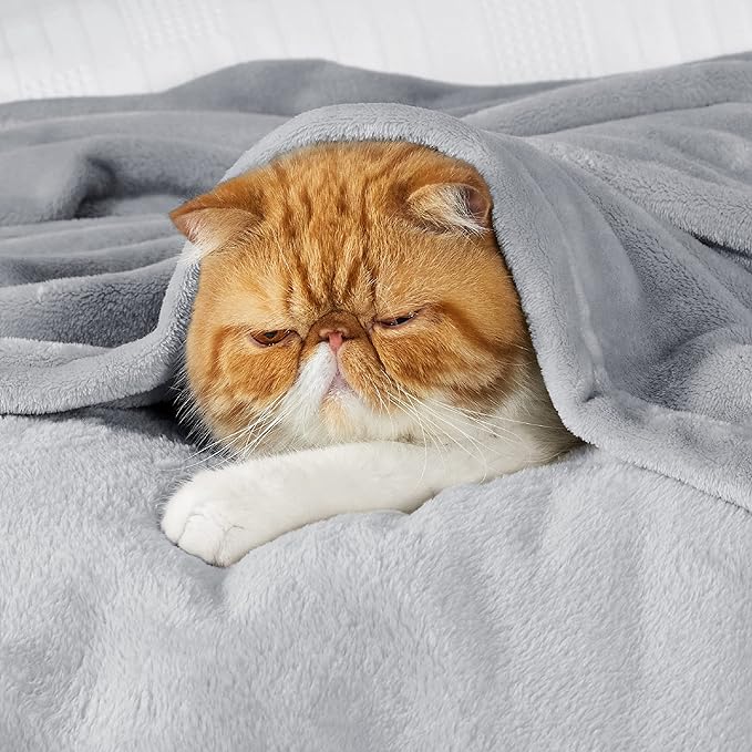 Bedsure GentleSoft Bedding Fleece Blanket - Image 6