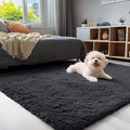 OLANLY 3x5 Machine Washable Small Bedside Rug, Soft Fluffy Shaggy Rugs by OLANLY