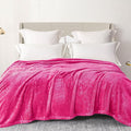 Exclusivo Mezcla Plush Fuzzy Fleece Bed Blanket Queen Size, Super Soft by ExclusivoMezcla