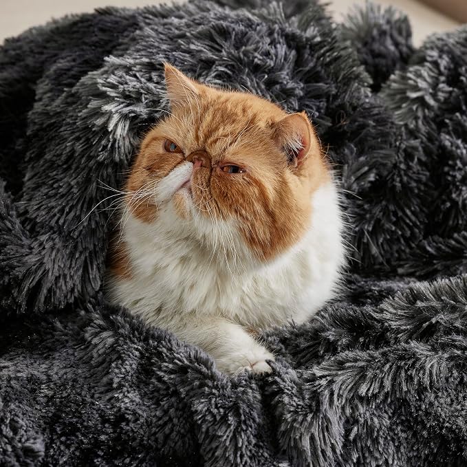 Bedsure GentleSoft Fluffy Black Blanket Cozy Gifts - Image 9