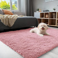OLANLY 3x5 Machine Washable Small Bedside Rug, Soft Fluffy Shaggy Rugs by OLANLY