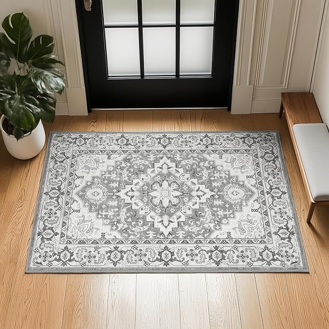 Lofus 2x3 Washable Rug for Entryway Bathroom, Non Slip Kitchen Mats for Floor by Lofus