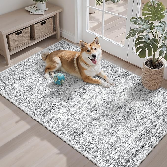 3x4 Rug, Small Area Rug for Kitchen, Machine Washable Non-Slip Throw Rug by Soalmost
