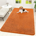 OLANLY Dog Door Mat for Muddy Paws 70x46, Absorbs Moisture and Dirt, Absorbent by OLANLY