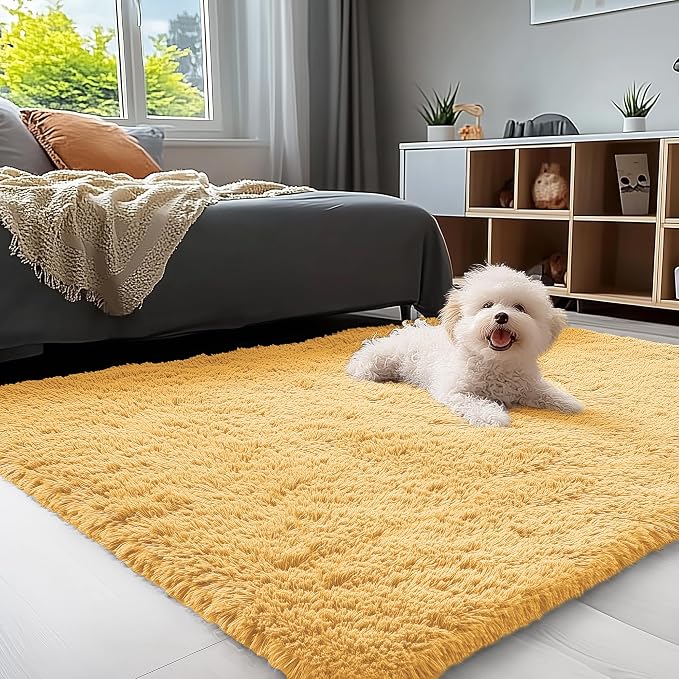 OLANLY 3x5 Machine Washable Small Bedside Rug, Soft Fluffy Shaggy Rugs by OLANLY