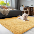 OLANLY 3x5 Machine Washable Small Bedside Rug, Soft Fluffy Shaggy Rugs by OLANLY