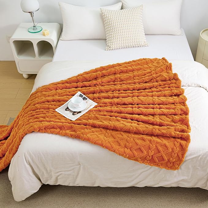 Aganear Blanket Queen Size - Image 3