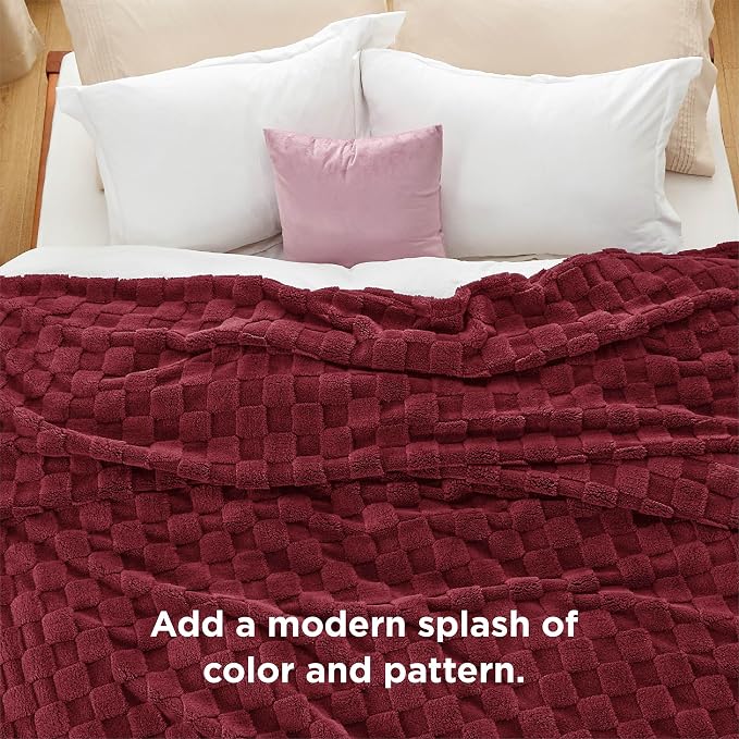 Bedsure GentleSoft Blankets Queen Size - Image 6