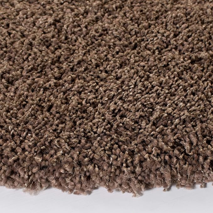 SAFAVIEH Area Rug 11x15 - Image 7