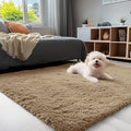 OLANLY 3x5 Machine Washable Small Bedside Rug, Soft Fluffy Shaggy Rugs by OLANLY