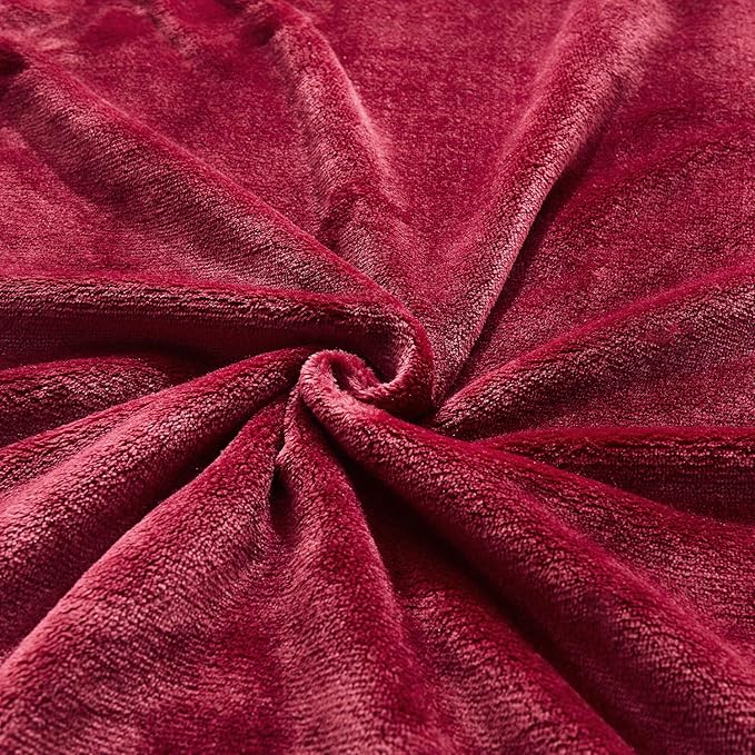 TASTHROW Large Flannel Fleece Throw Blanket, 60×80 Inch - Image 2