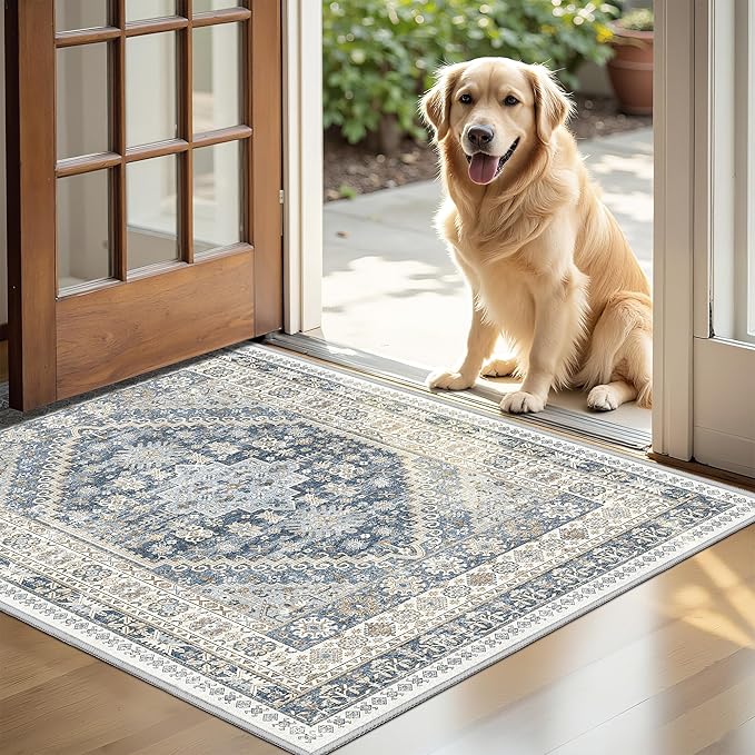 Entryway Rug - 2x3 Washable Rug Runner - Image 5