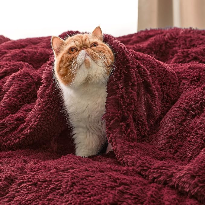 Bedsure GentleSoft Fluffy Burgundy Red Throw Blanket, Maroon Red Decor Gifts - Image 5