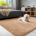 OLANLY 3x5 Machine Washable Small Bedside Rug, Soft Fluffy Shaggy Rugs by OLANLY