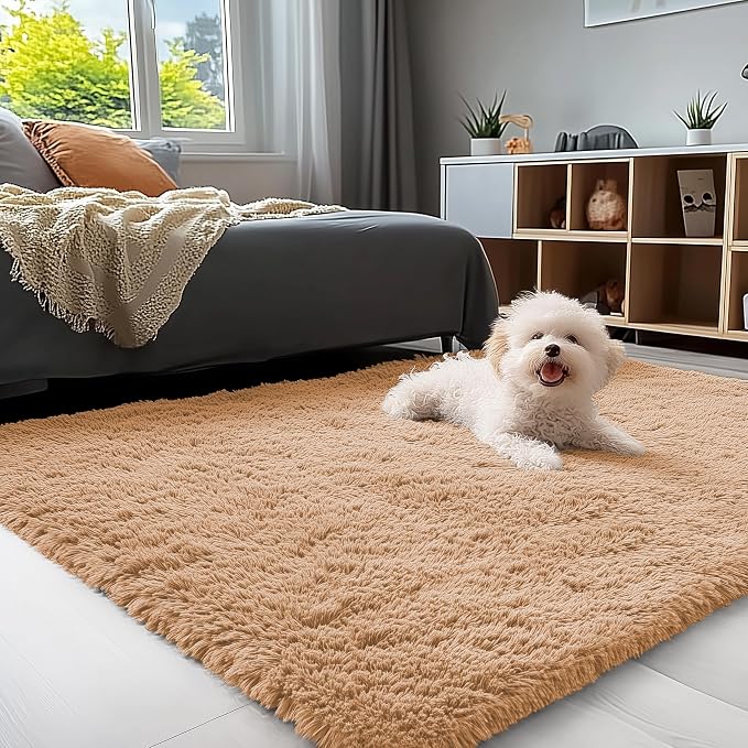 OLANLY 3x5 Machine Washable Small Bedside Rug, Soft Fluffy Shaggy Rugs by OLANLY