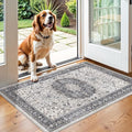 Washable 2x3 Entryway Area Rug: Vintage Soft Thin Door Mat by HYHAOYUNLAI