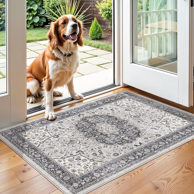Washable 2x3 Entryway Area Rug: Vintage Soft Thin Door Mat by HYHAOYUNLAI