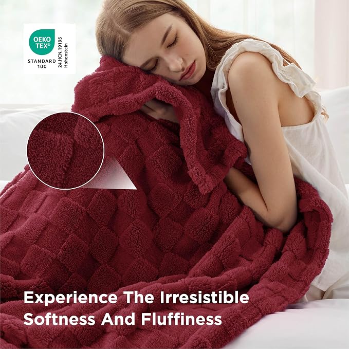Bedsure GentleSoft Blankets Queen Size - Image 4