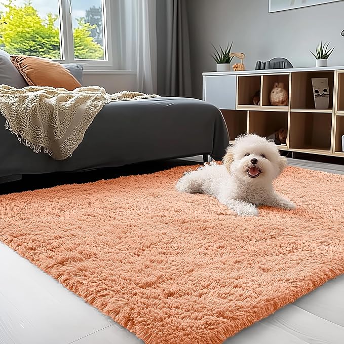 OLANLY 3x5 Machine Washable Small Bedside Rug, Soft Fluffy Shaggy Rugs by OLANLY