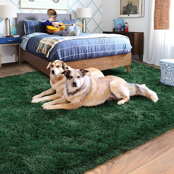 Rugs for Bedroom 4x6, Soft Shaggy Modern Shag Area Rug for Living Room - Image 3
