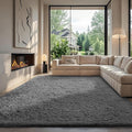 Ophanie 7x10 Area Rugs for Living Room, Upgrade Non-Slip Fluffy Soft Large Shag by Ophanie