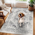 Washable 3x5 Area Rug for Entryway by EISUROM