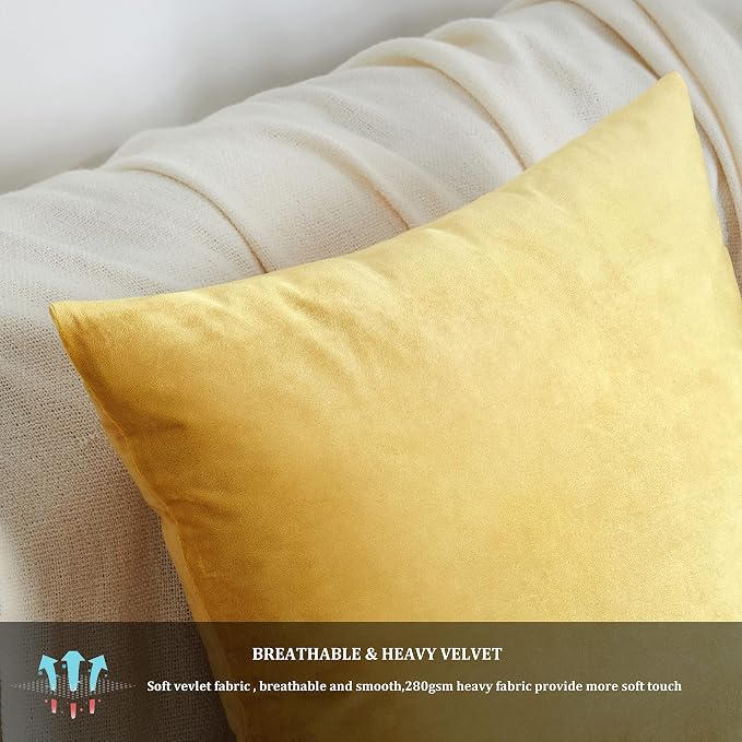 GIGIZAZA Decorative Couch Throw Pillow Covers, Pillow Cases Velvet Pillow Covers - Image 6